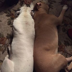 Meet your Posher, Cilla